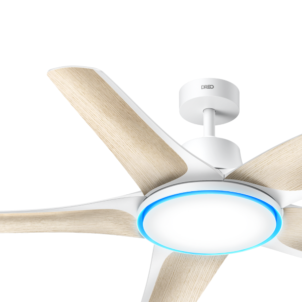 Ceiling Fans