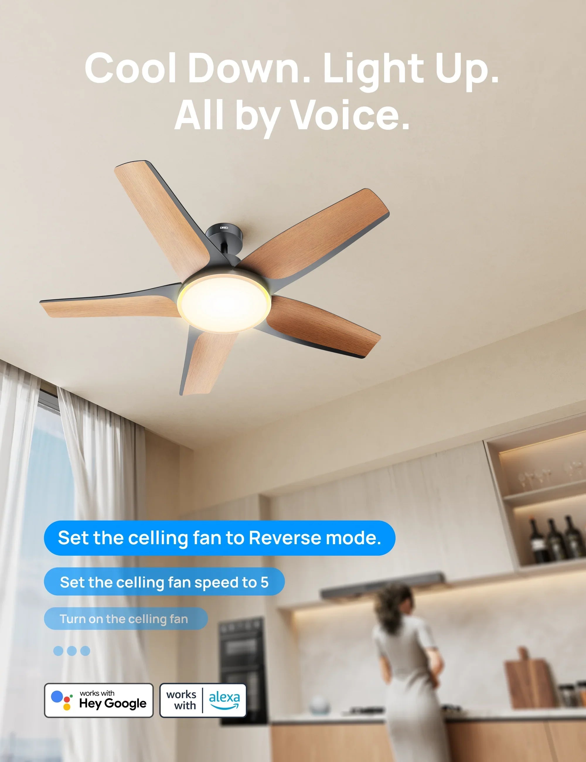 Smart Ceiling Fan 712S